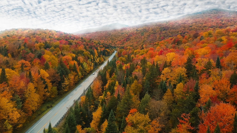 A road runs through a ton of trees up in New England, the golden, red and orange hues shifting.