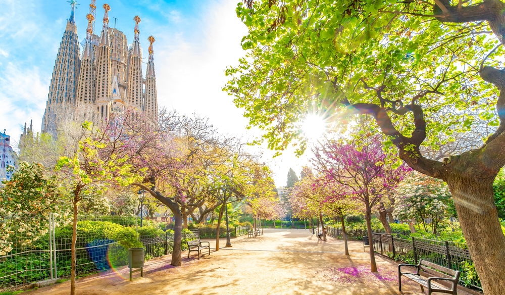 The sun shines beyond a walkway in Spain with castles and stunning purple flowers in bloom, something you want to see and will when you know the mistakes to avoid in Spain.