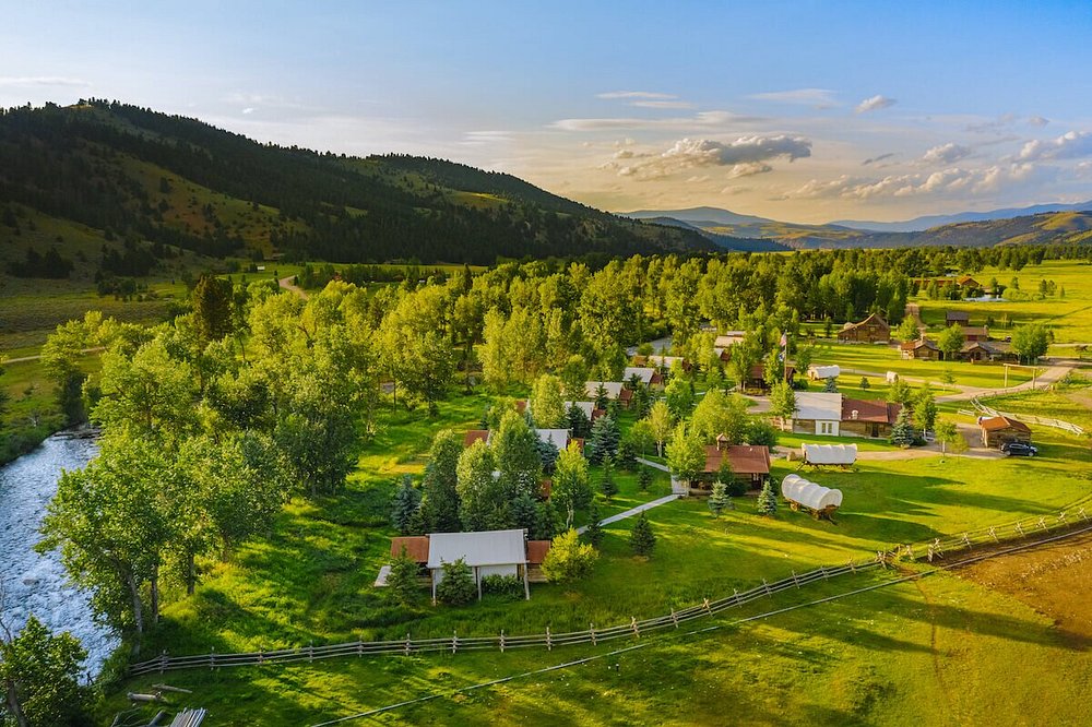Cabins with wagons at a resort surrounded by trees.