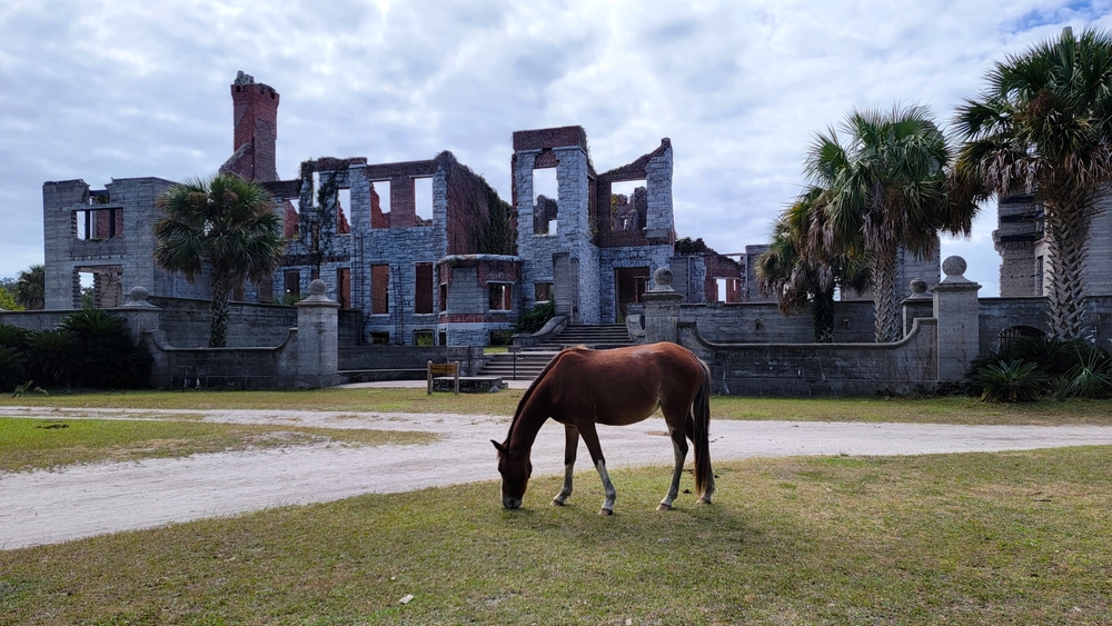 the ruins with a wild horse in the forefront on Cumberland Island in GA with no cars or stores