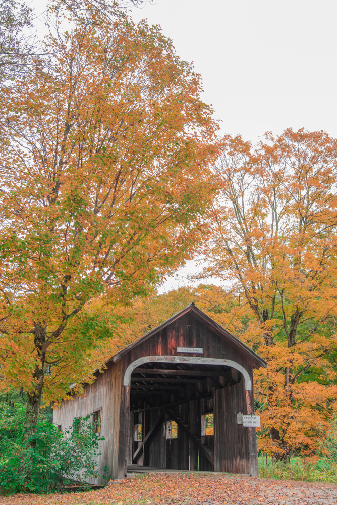 fall foliage surrounds a covered wooden bridge with road covered in leaves.