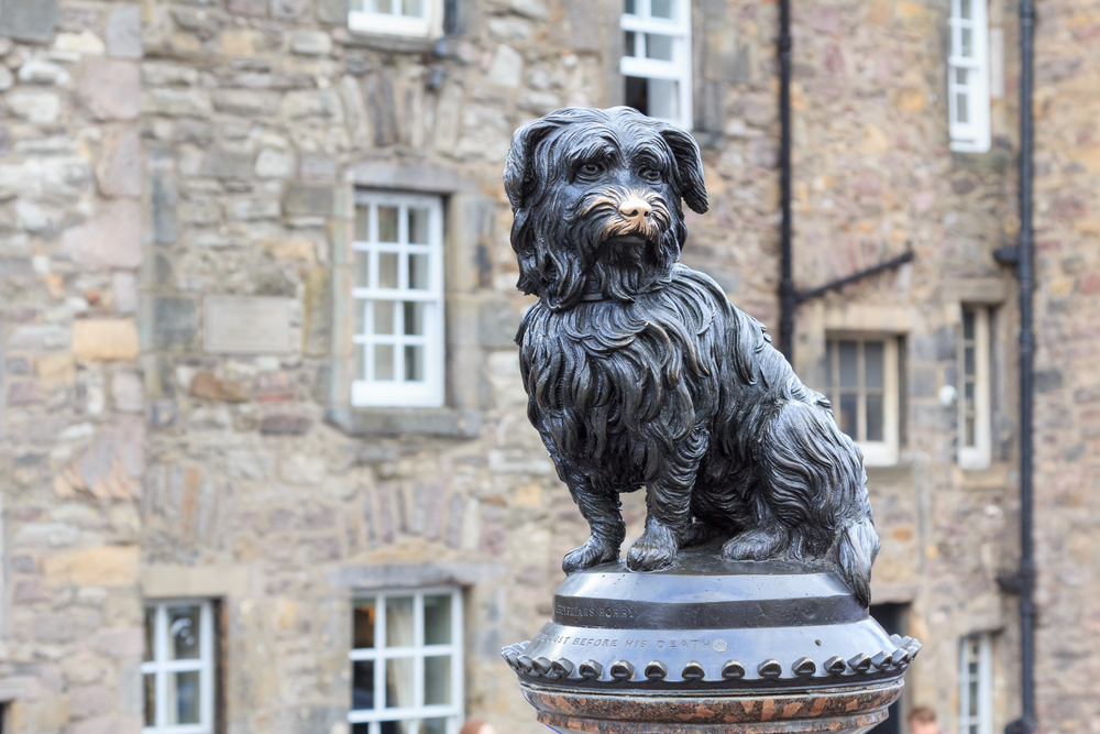 touching Greyfriars Bobbys nose is one of the mistakes to avoid in Edinburgh with its brass rubbed off on the nose