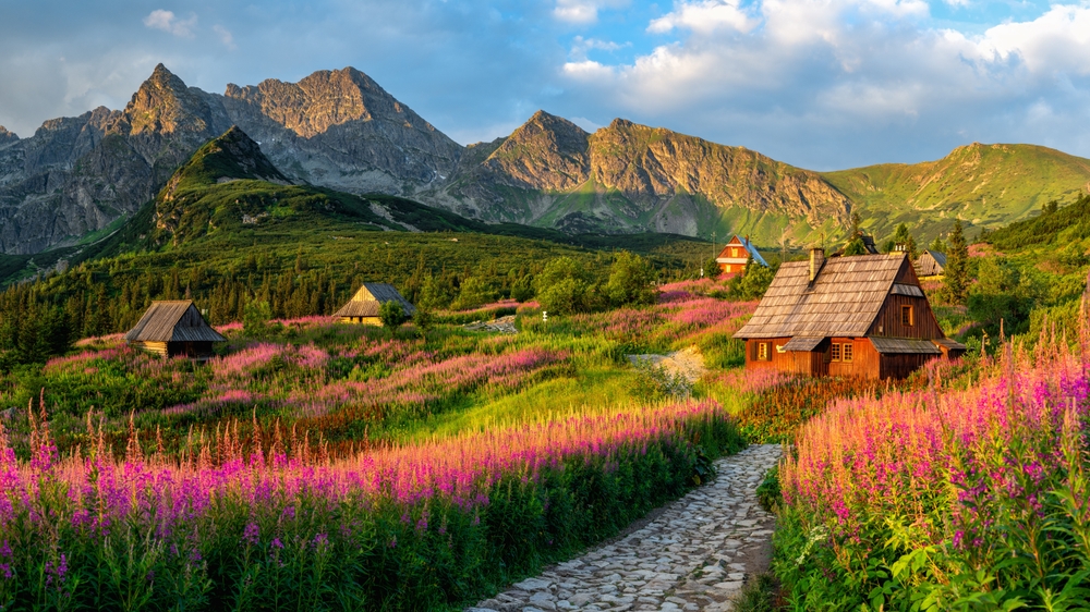 In spring during golden hours, pink flowers bloom in green fields with mountains in the background, little homes scattered throughout.