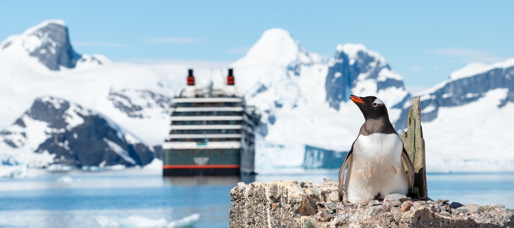A penguin sits in the forefront of this photo, a cruise ship behind it: these types of cruises are just as fun, but they are colder so it helps to know what things to buy from Amazon for a cruise (as noted by the snow capped mountains in the background). 