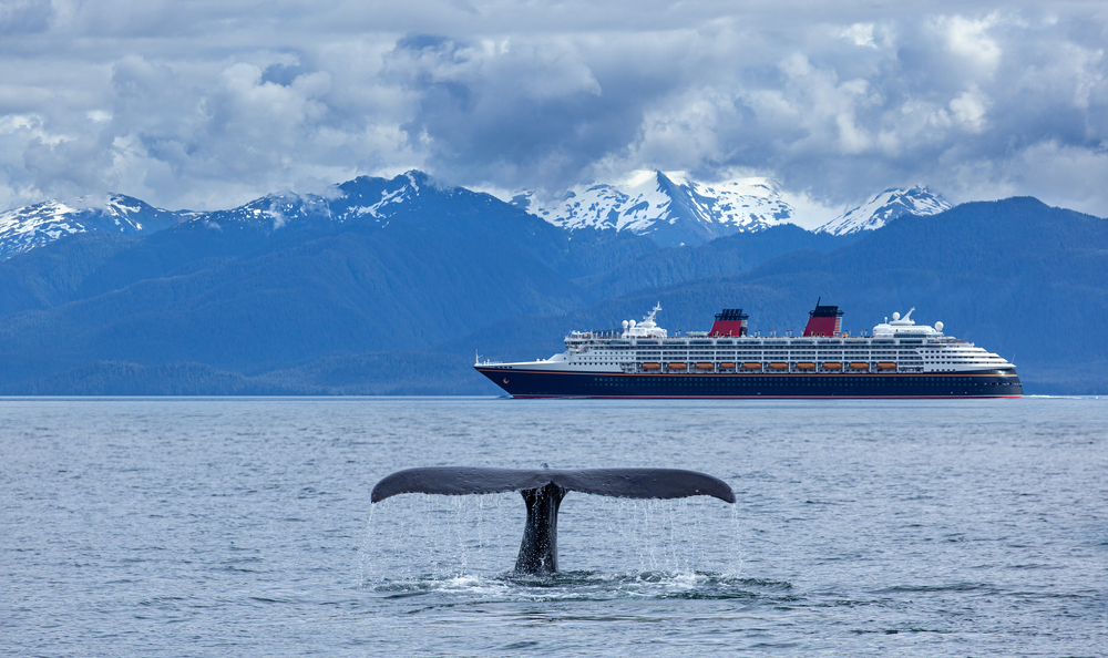 A whale tale breaks the surface of the water as a cruise scoots by, the mountains in the background snow capped and stunning. 