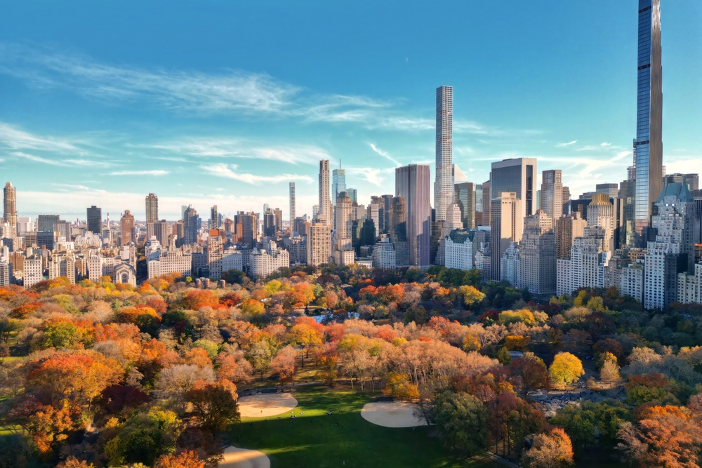 New York City Central Park. Top view with Autumn tree. Autumn Central Park view from drone.