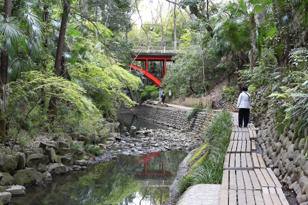 A woman in wide-legged trousers and a puffer jacket climbs a walkway toward a red bridge in a nature exploration near Tokyo.