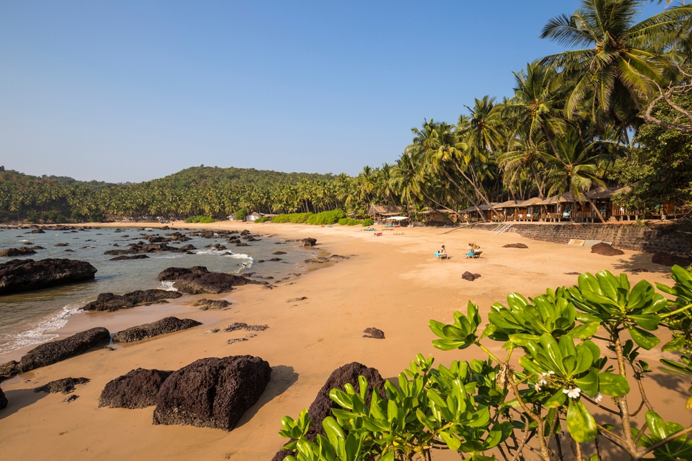 A shot of Goa shows the warm hues of the location, with dark green palms, golden sand, and rocks lining the shore.