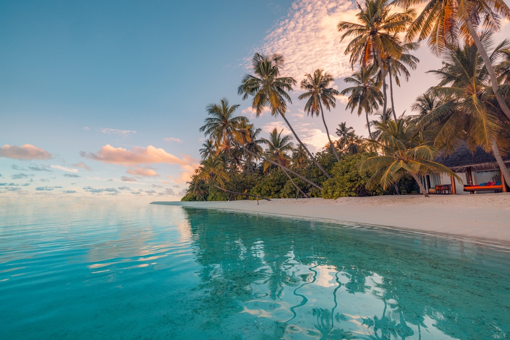 Summer island palm tree sea sand beach. Panoramic beach landscape. The article is about things to buy from Amazon before your beach vacation.