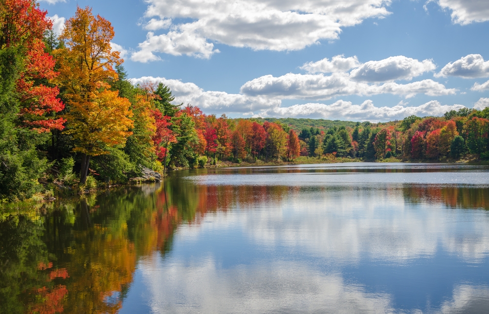 In Pennsylvania, which is one of the Best States for Fall Foliage in the USA, trees line a lake, slowly turning from green to orange and yellow and red.