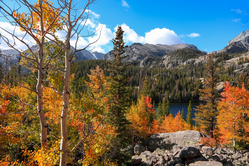 In Colorado, which is one of the Best States for Fall Foliage in the USA, mountains are in the backdrop of tons of trees slowly turning into their fall colors.