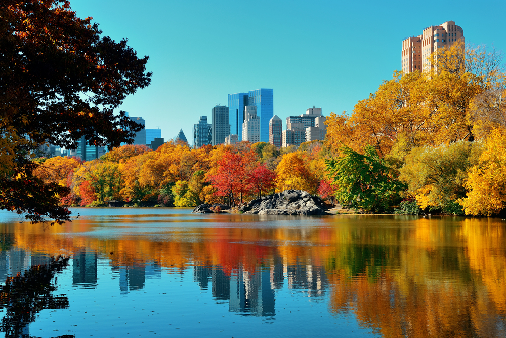 In New York you can see tall city buildings beyond the fall foliage of trees that city on the water of a local park.