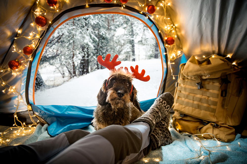 A gentleman lays down in a tent that is decorated with lights and open, revealing snow, and a doggie sits in front of him, enjoying the holiday with antlers on his ears.