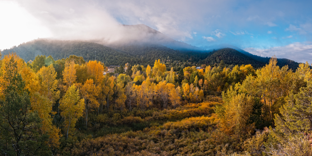 In the Enchanted Circle Scenic Byway, which is one of the Most Scenic Fall Drives in the USA, mountains in the back are covered with clouds and yellow trees break through the mist.