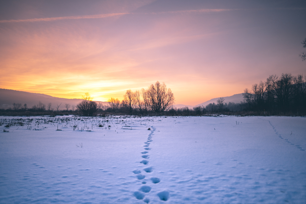 footsteps in the snow at sunset over the Berkshire Mountains