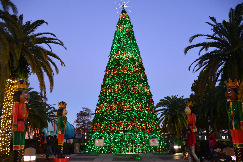 a Christmas Trees sounded by Palm Trees in Orlando is one of the Best christmas vacations in the USA