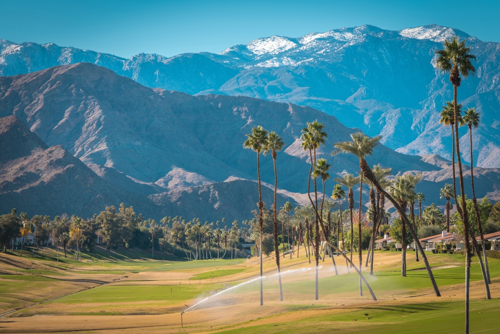 the wintertime designation of Palm Springs with mountains dusted in snow and surroudned by palm trees and grass