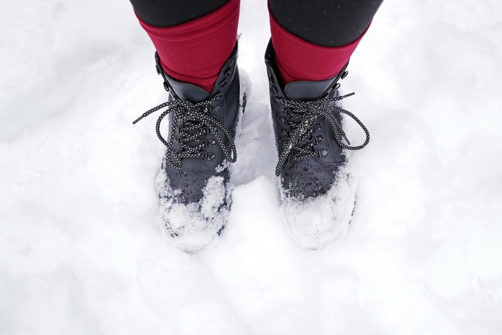 A pair of shoes look up and contrast their dark color against the pristine white snow.