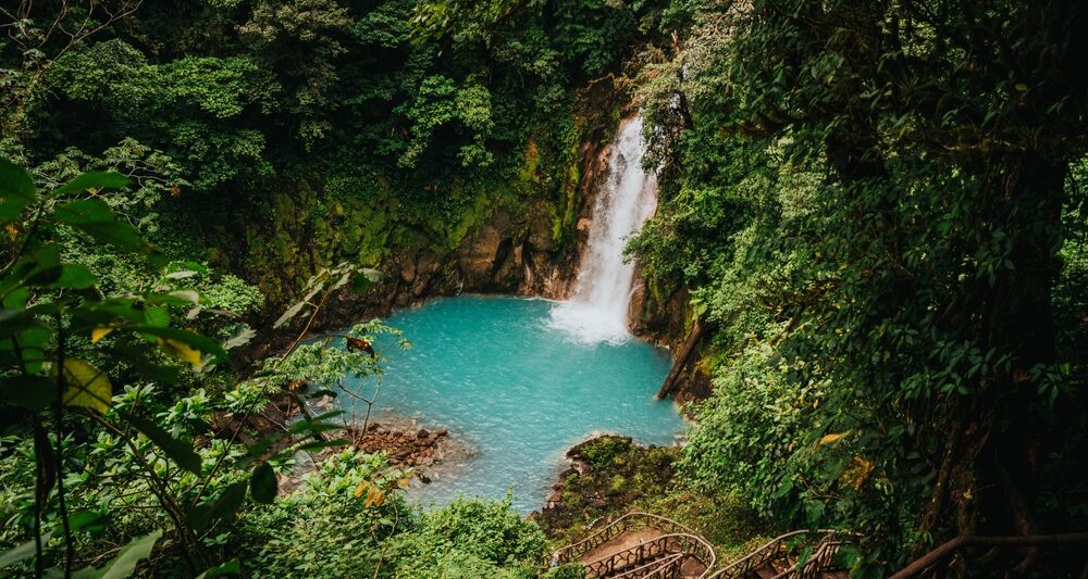 beautiful blue waterfall with green trees surrounding it and brown stairs leading down to it