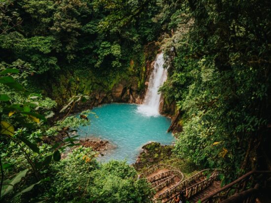 beautiful blue waterfall with green trees surrounding it and brown stairs leading down to it