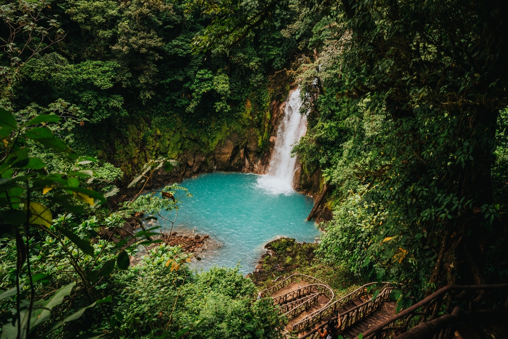 a waterfall is falling into a circular natural pool of water in the woods surrounded by greenery, a walking path is in the foreground